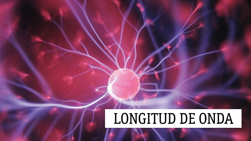 Longitud de onda - La contaminación acústica en el mar, peor que la de plástico - 12/02/21 - escuchar ahora