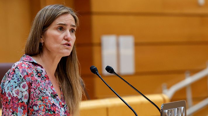 El Gobierno avisa de que la investigación para esclarecer las causas del apagón durará entre tres y seis meses