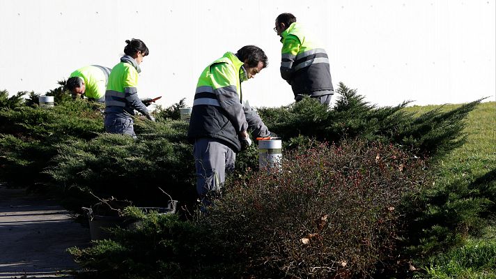 Un empleo para los más desfavorecidos